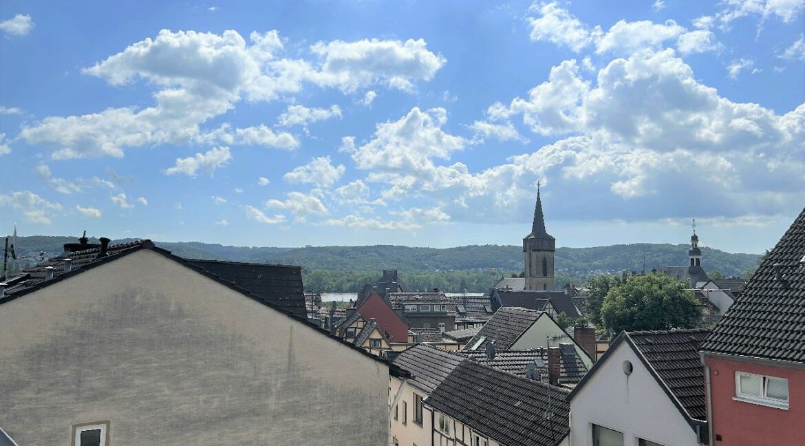 Blick zum Rhein